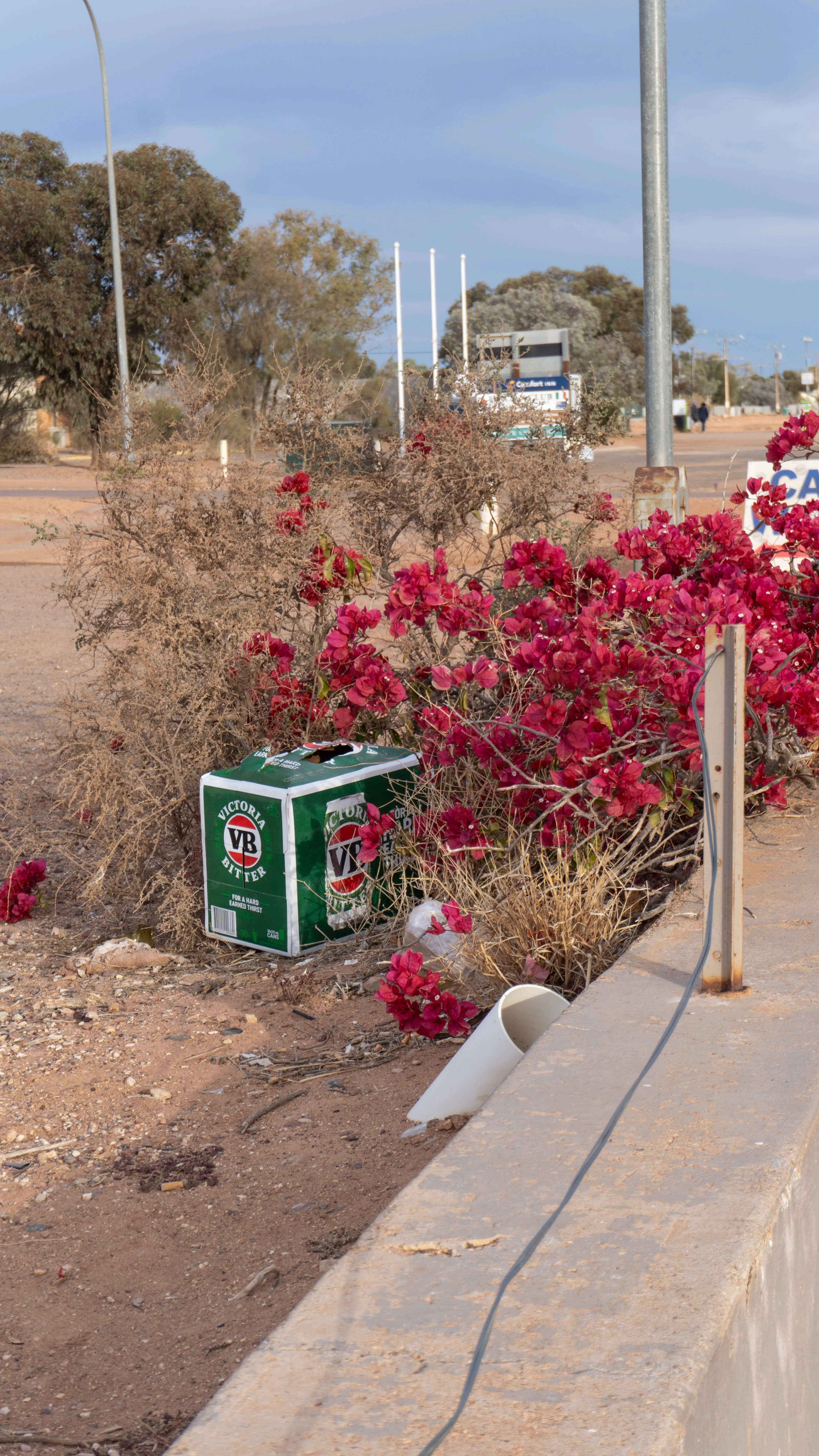 Coober Pedy VB beer