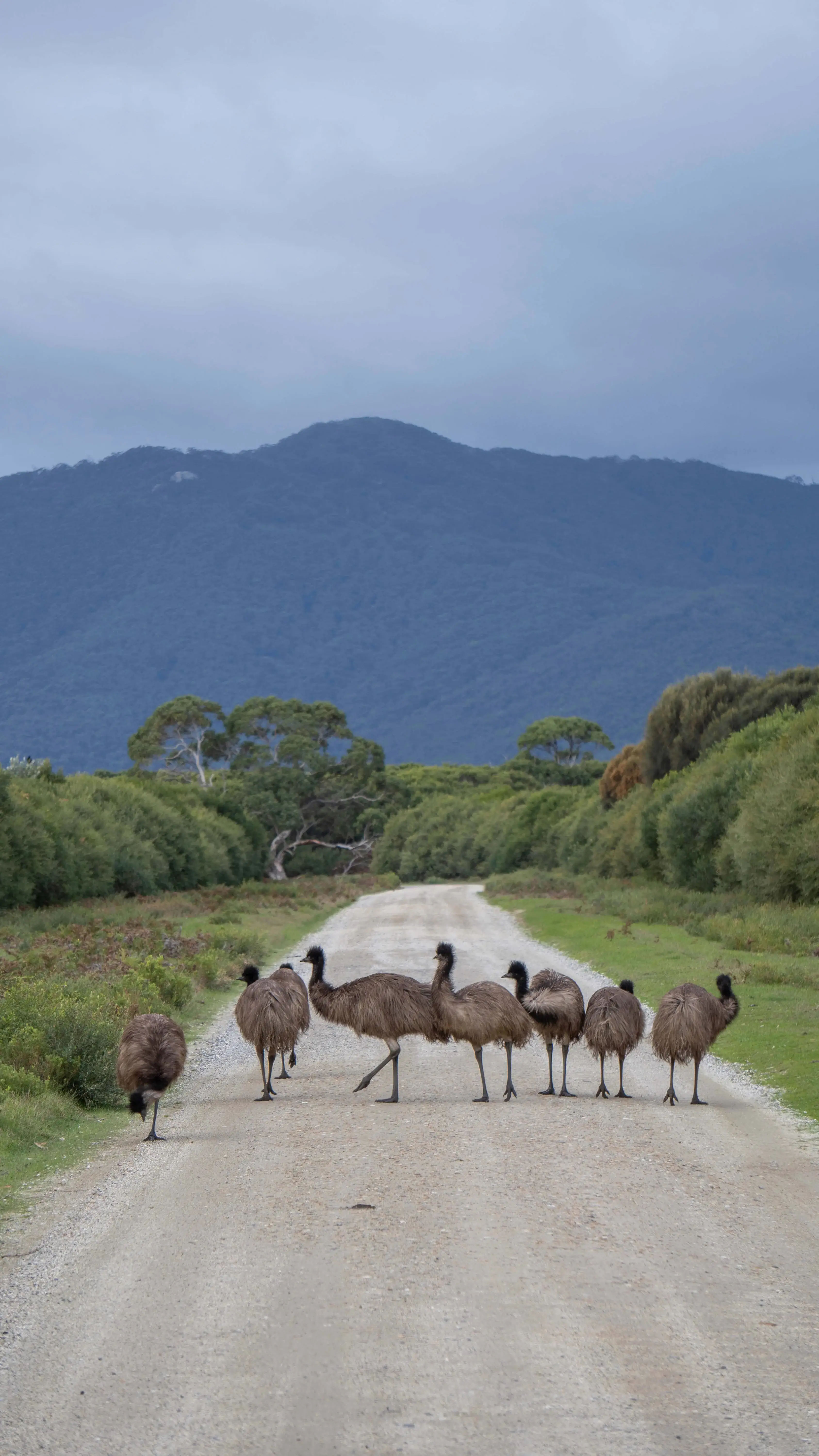 Wilsons Promontory National Park