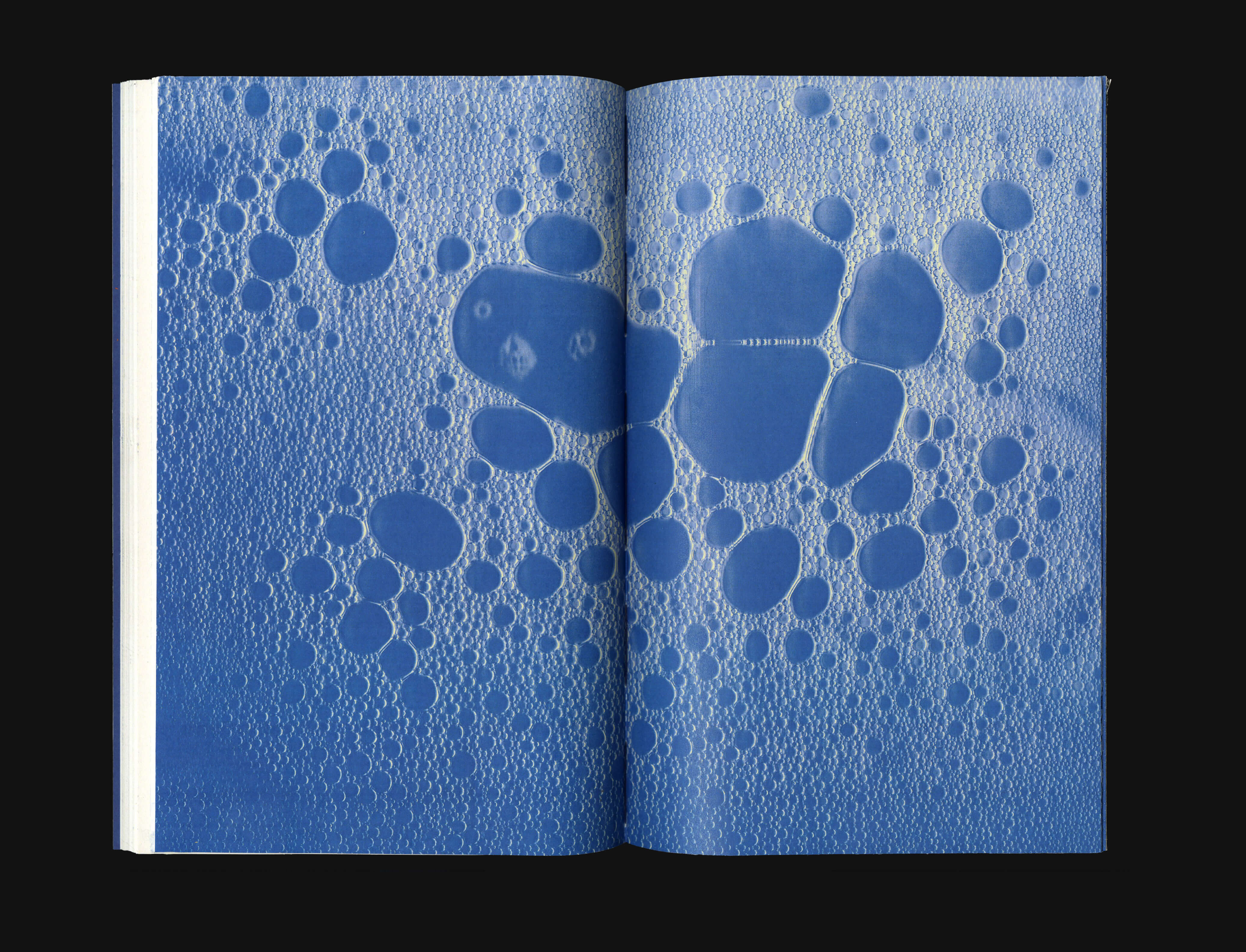 bubbles scanned